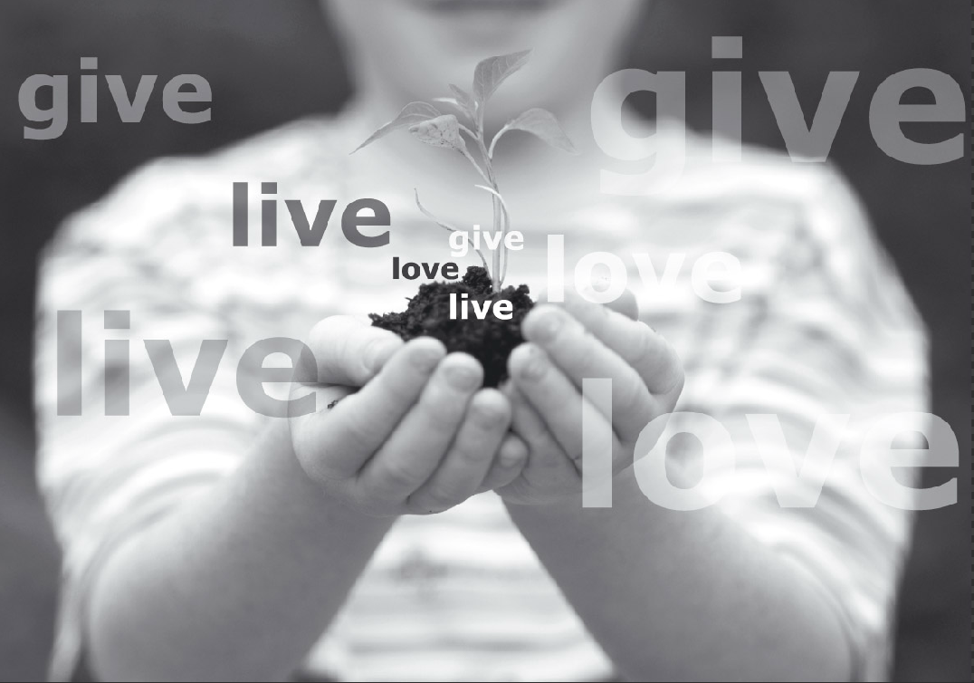 give live love.png